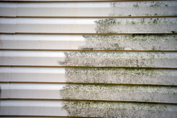 Affordable Siding Repair and Maintenance Services in Blue Mound, TX